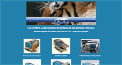 Desktop Screenshot of catpumps.com.ar